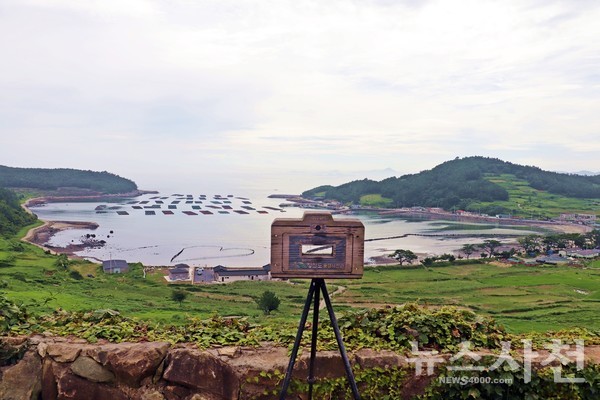 청산도(靑山島)는 이름처럼 사시사철 푸른 섬이다. 사진은 '서편제' 촬영지에서 바라본 도락리 바닷가 모습.
