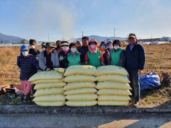 용현면새마을남·여지도자협의회가 11월 24일 용현면 주문리 일원에서 사랑의 콩 수확을 진행했다.(사진=사천시)
