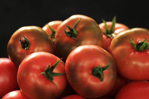 사천시농업기술센터가 개발한 ‘토마토 4000’(사진=사천시)