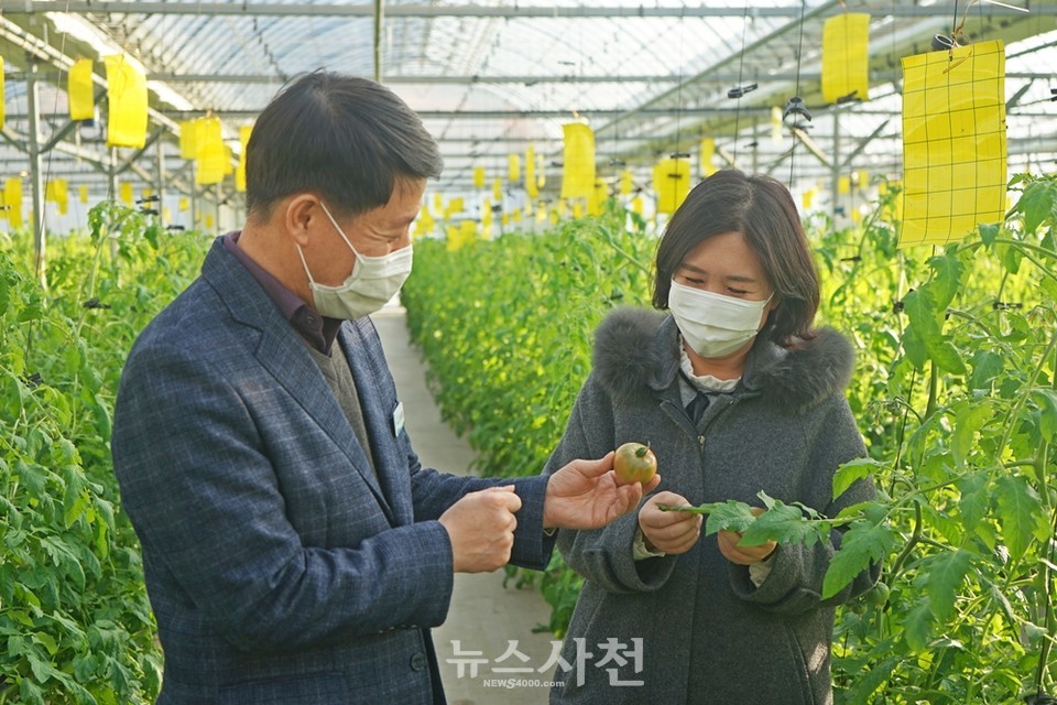 토마토400에 대해 설명하고 있는 문상필 팀장과 김혜진 주무관. 