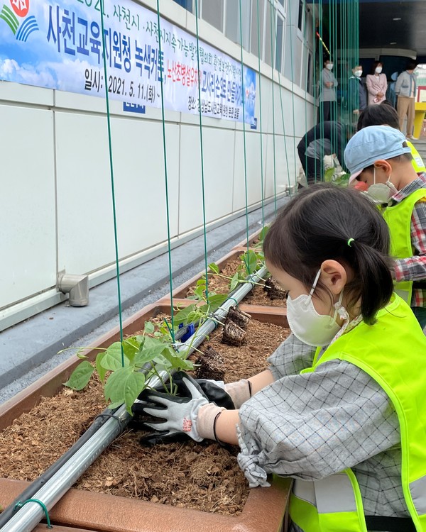 사천교육지원청이 최근 식물을 활용한 그늘막(녹색커튼)을 설치했다. (사진=사천교육지원청)