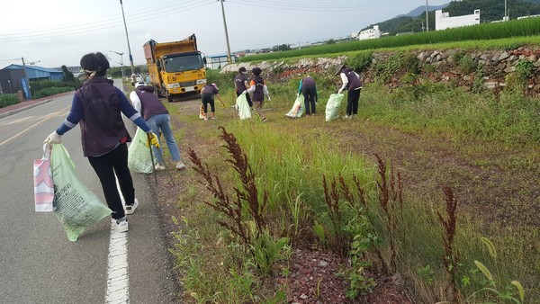 남양동 자원봉사회(회장 양경옥)가 7월 12일 오후 미룡마을에서 대포마을까지 해안도로를 걸으며 ‘니캉내캉 플로깅’ 행사를 가졌다.