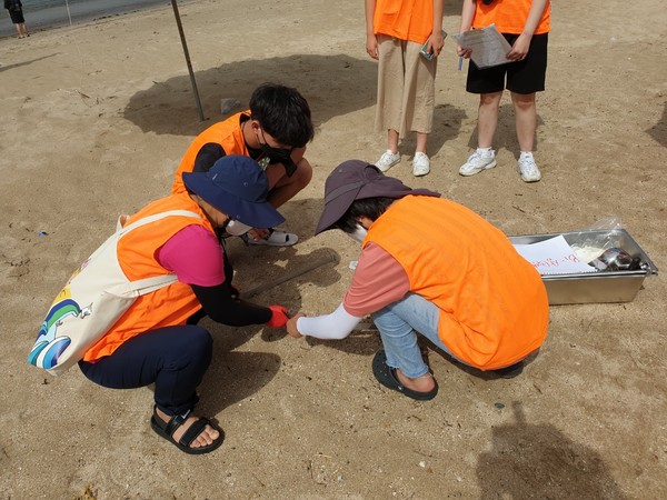 모래 해변에 있는 미세플라스틱의 오염도를 분석하고, 해변에 어떤 쓰레기들이 떠내려오는 지 분류하고, 기록하는 학생들의 모습.