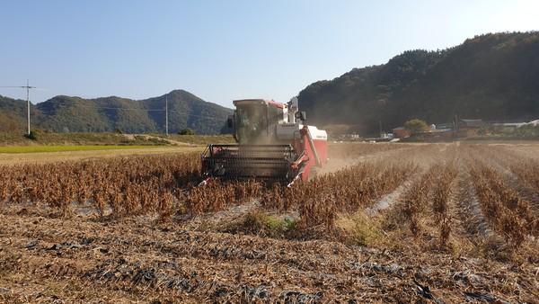 콩사랑영농조합법인이 농림축산식품부 주관 ‘제1회 국산콩 우수 생산단지 선발대회’서 장려상을 수상했다.