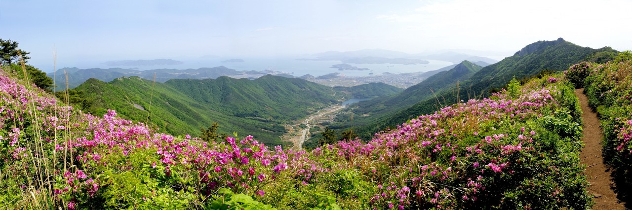 사천시가 지역의 대표 명산 와룡산의 철쭉 군락지 복원사업을 추진한다.(사진=사천시)