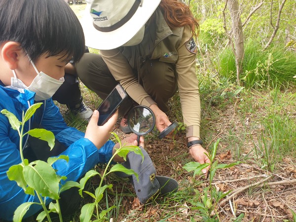 국립공원공단 한려해상국립공원사무소(소장 김현교)가 야생화 관찰 프로그램을 운영한다.(사진=한려해상국립공원사무소)