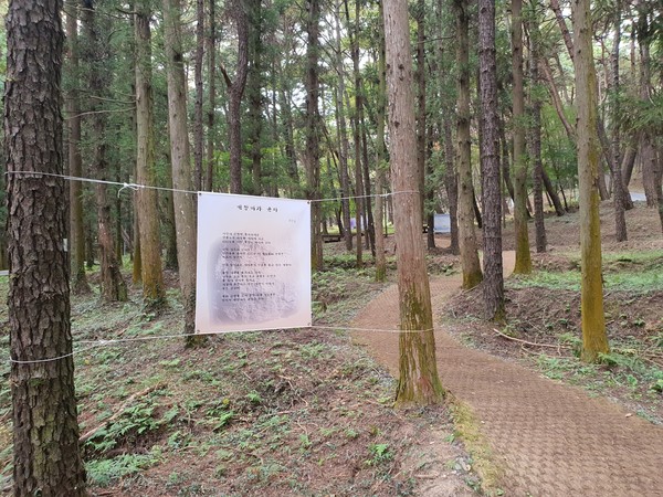 사천시가 봉명산시립공원 소나무 숲길에 꽃단지를 조성한다. 사진은 봉명산 소나무 숲길.(사진=사천시)