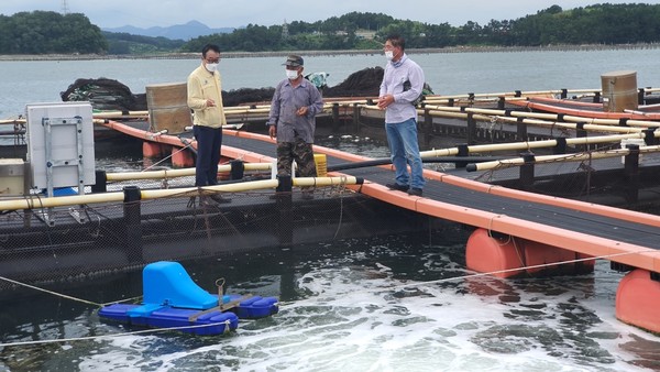 사천시가 남해 연안 고수온에 따른 해상 가두리양식장 어류 피해 예방을 위한 선제대응에 나섰다.(사진=사천시)