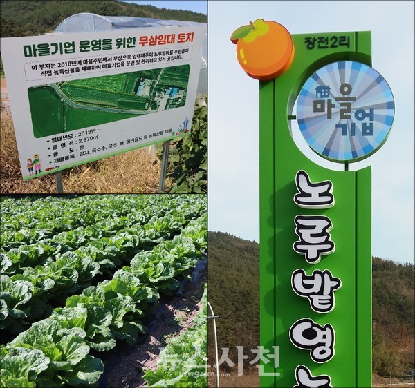 장전2리는 2017년 마을기업인 ‘노루밭영농조합’을 설립했다.