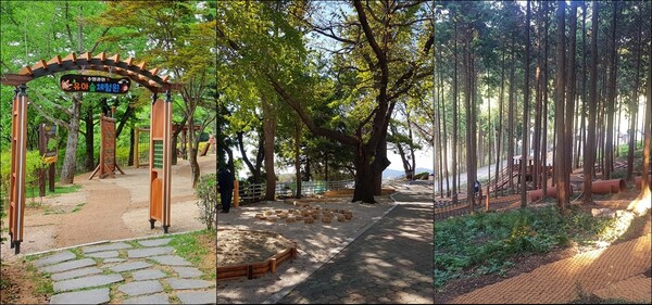 왼쪽부터 수양공원, 망산공원, 케이블카 자연휴양림 '유아숲체험원'(사진=사천시)