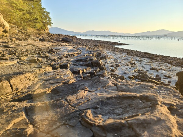 사천만의 넓고 긴 바닷가는 화석을 연구하는 고생물학자들에게 최적의 장소로 꼽힌다.