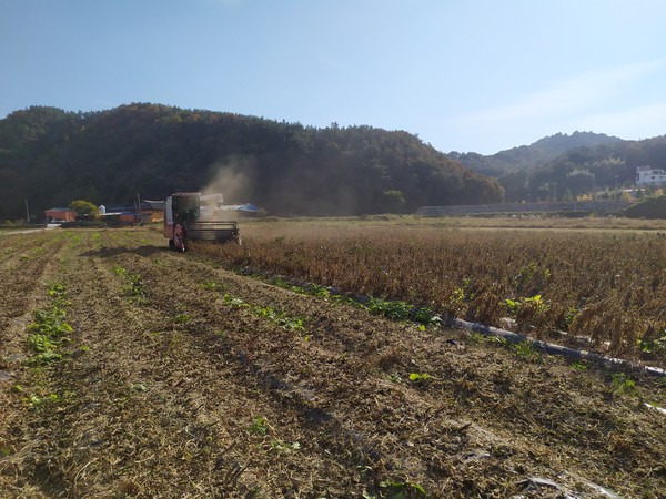 사천시농업기술센터가 쌀 공급 과잉문제를 해결하기 위해 ‘2024년 논 타작물 재배지원 사업’을 추진한다.(사진=뉴스사천 DB)