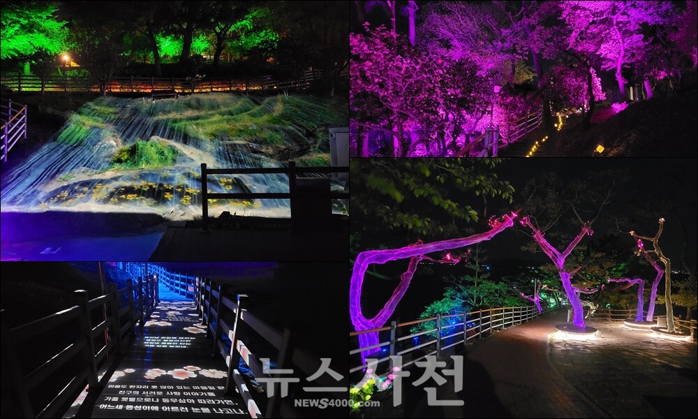 삼천포의 밤 ‘빛의 서정시’로 물든다···노산 빛공원 개장... 기사본문 - 뉴스사천 삼천포의 밤 ‘빛의 서정시’로 물든다···노산 빛공원 개장